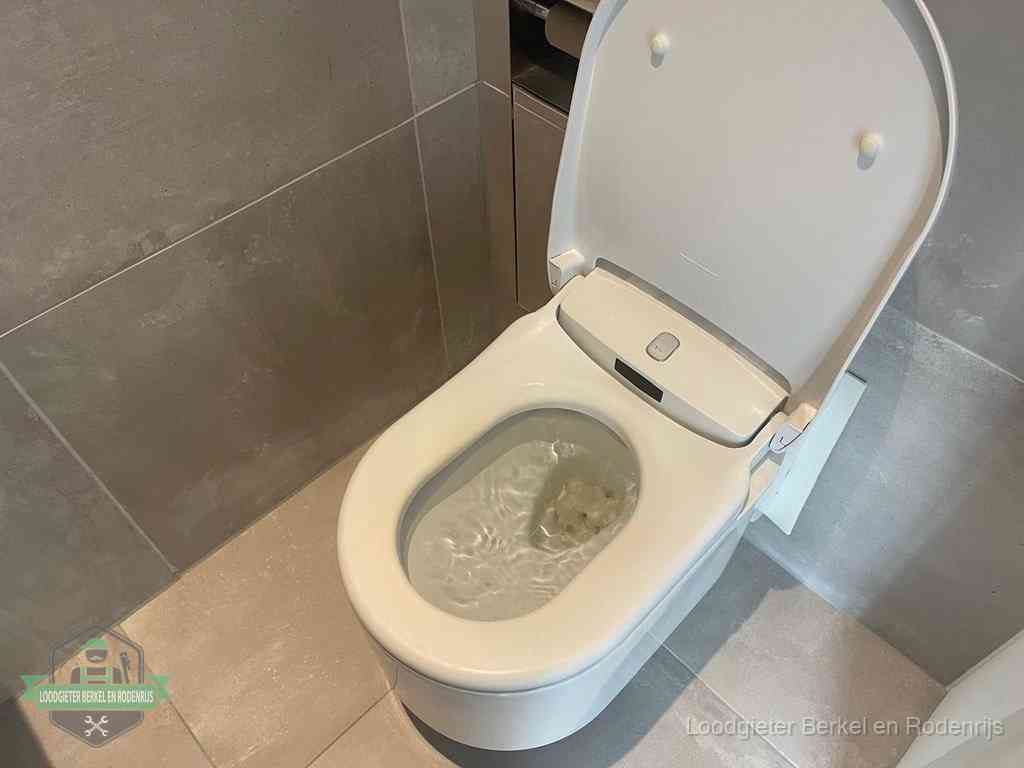 WC verstopt in Berkel en Rodenrijs WC verstopt in Berkel en Rodenrijs